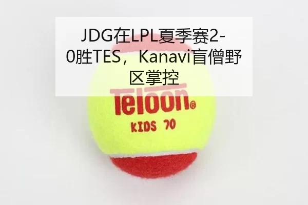 JDG在LPL夏季赛2-0胜TES，Kanavi盲僧野区掌控