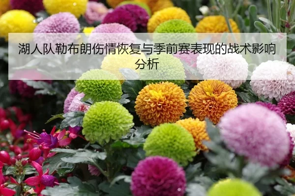 hu-ren-dui-lei-bu-lang-shang-qing-hui-fu-yu-ji-qian-sai-biao-xian-de-zhan-shu-ying-xiang-fen-xi-2-720.jpg