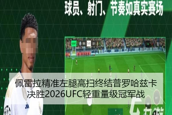 佩雷拉精准左腿高扫终结普罗哈兹卡 决胜2026UFC轻重量级冠军战